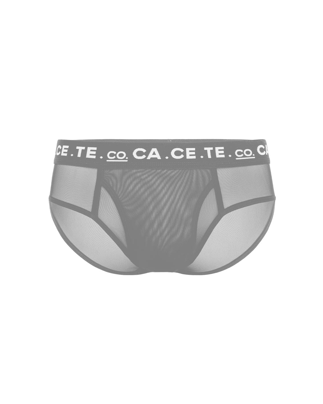 CUECA SLIP TULE